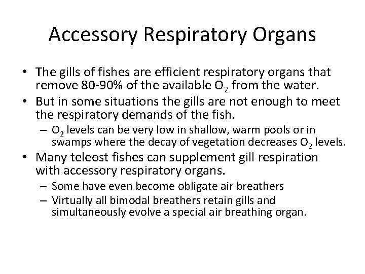 Accessory Respiratory Organs • The gills of fishes are efficient respiratory organs that remove