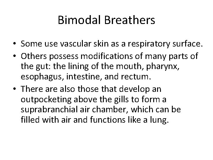 Bimodal Breathers • Some use vascular skin as a respiratory surface. • Others possess