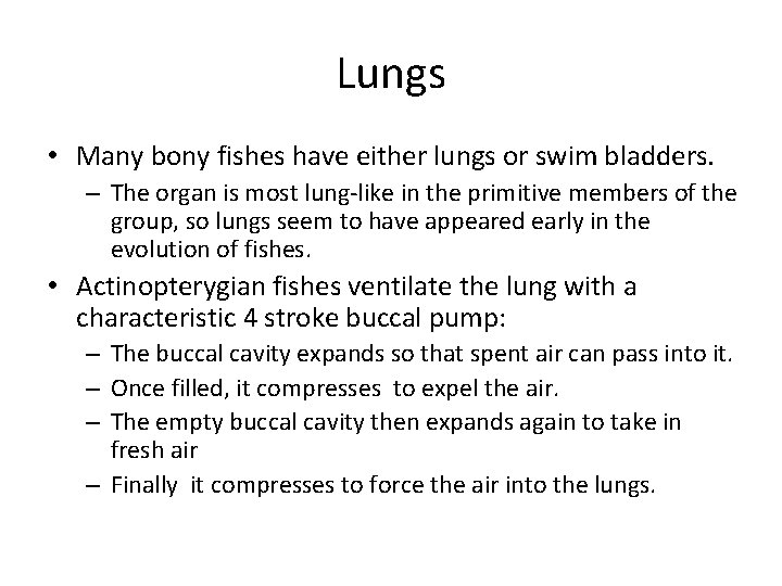 Lungs • Many bony fishes have either lungs or swim bladders. – The organ