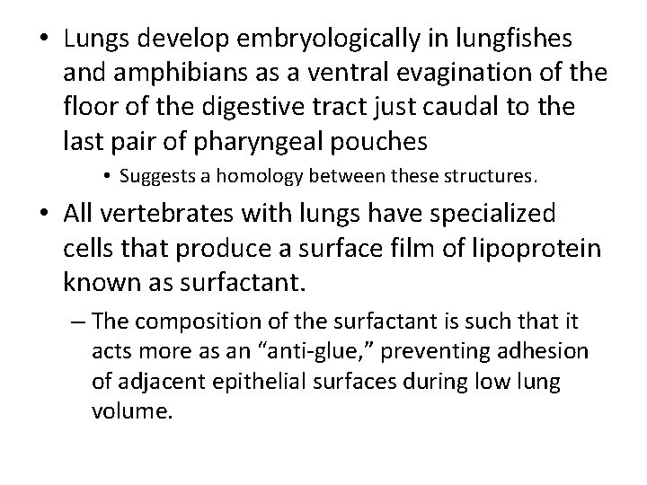  • Lungs develop embryologically in lungfishes and amphibians as a ventral evagination of