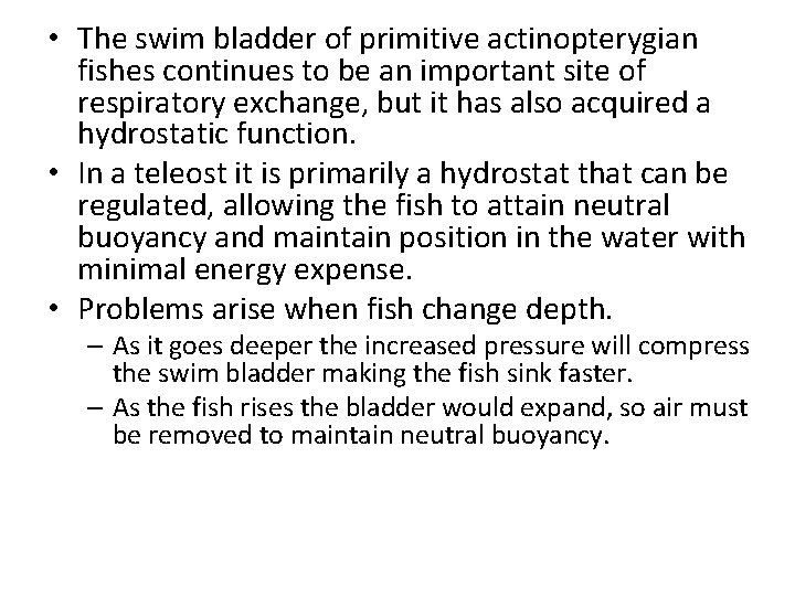  • The swim bladder of primitive actinopterygian fishes continues to be an important