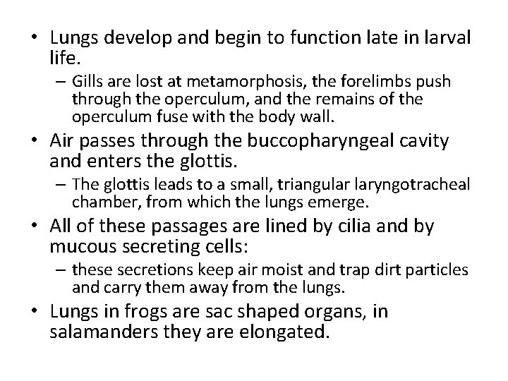  • Lungs develop and begin to function late in larval life. – Gills