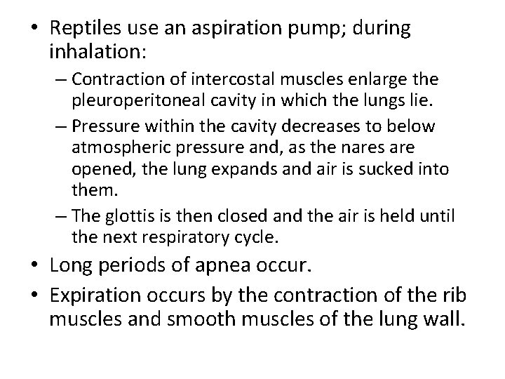  • Reptiles use an aspiration pump; during inhalation: – Contraction of intercostal muscles