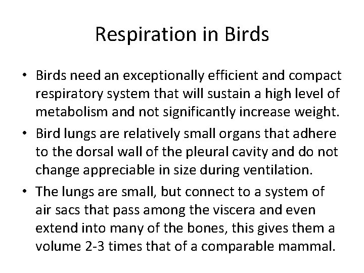 Respiration in Birds • Birds need an exceptionally efficient and compact respiratory system that