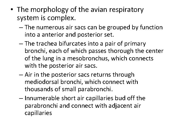  • The morphology of the avian respiratory system is complex. – The numerous