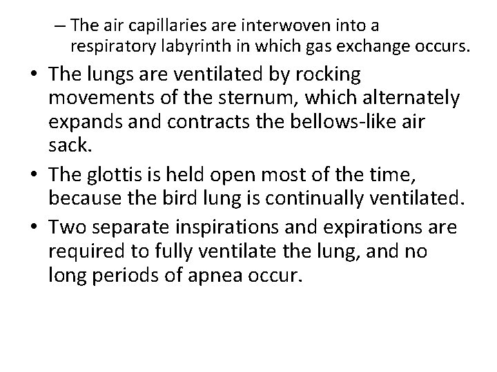 – The air capillaries are interwoven into a respiratory labyrinth in which gas exchange