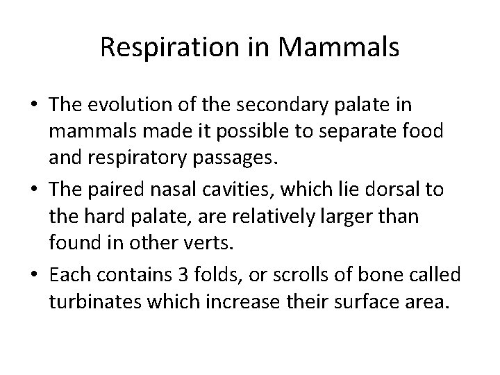 Respiration in Mammals • The evolution of the secondary palate in mammals made it