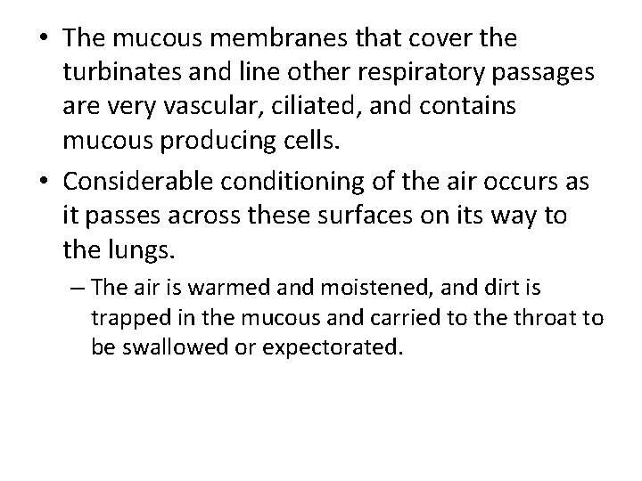  • The mucous membranes that cover the turbinates and line other respiratory passages