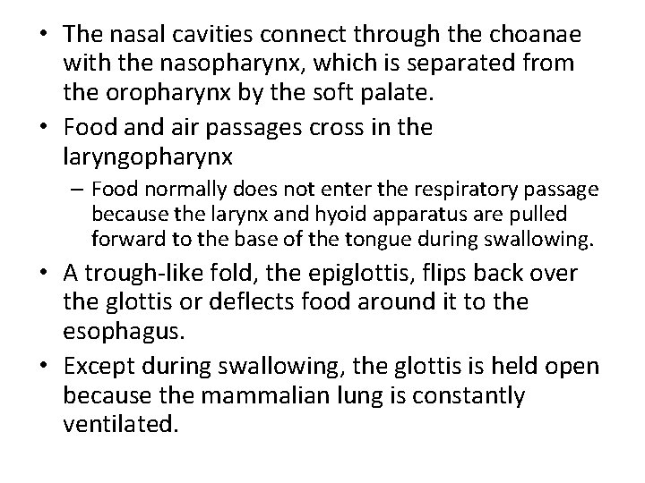  • The nasal cavities connect through the choanae with the nasopharynx, which is