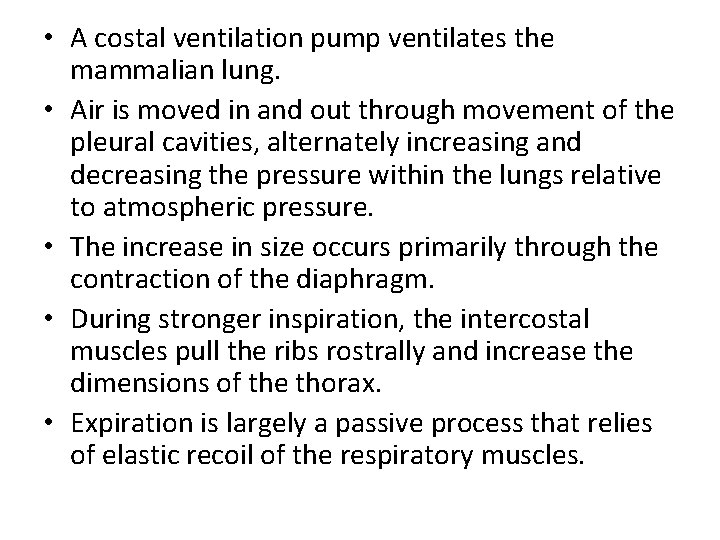  • A costal ventilation pump ventilates the mammalian lung. • Air is moved