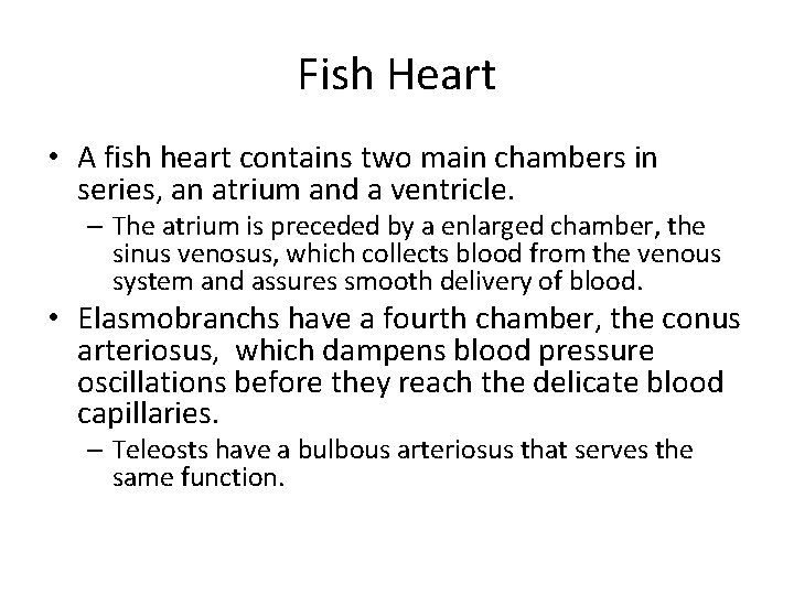 Fish Heart • A fish heart contains two main chambers in series, an atrium