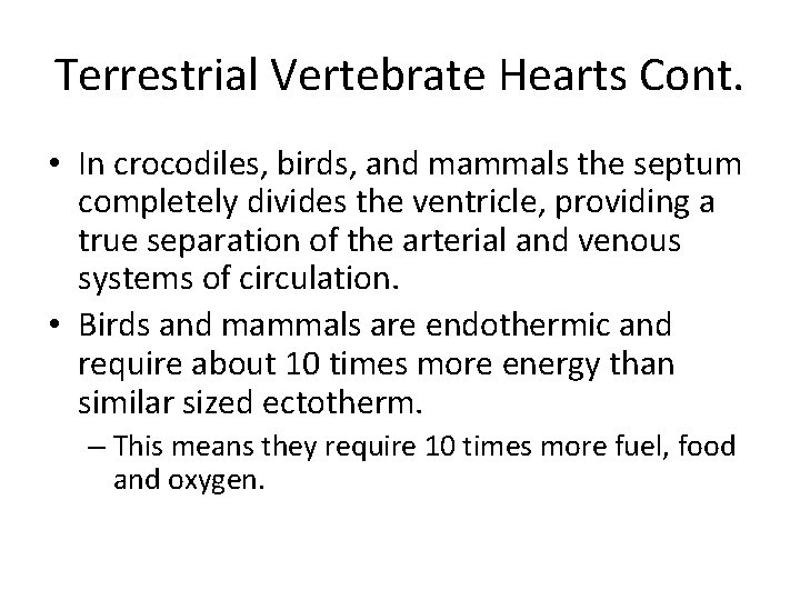 Terrestrial Vertebrate Hearts Cont. • In crocodiles, birds, and mammals the septum completely divides