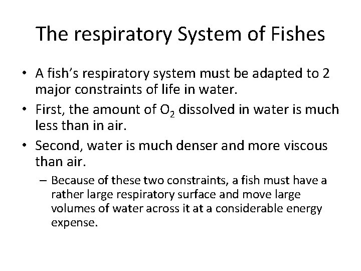 The respiratory System of Fishes • A fish’s respiratory system must be adapted to