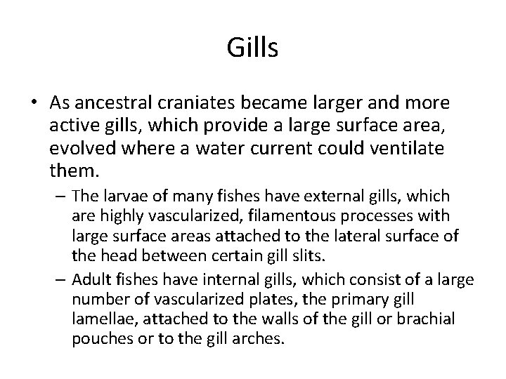 Gills • As ancestral craniates became larger and more active gills, which provide a