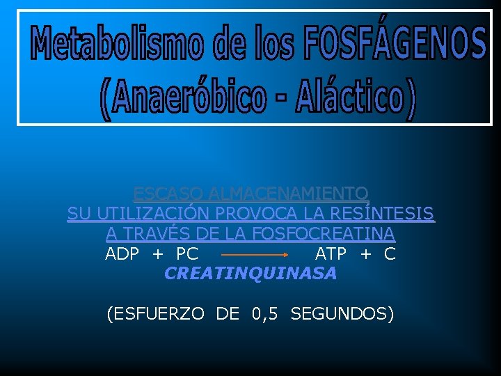 ESCASO ALMACENAMIENTO SU UTILIZACIÓN PROVOCA LA RESÍNTESIS A TRAVÉS DE LA FOSFOCREATINA ADP +