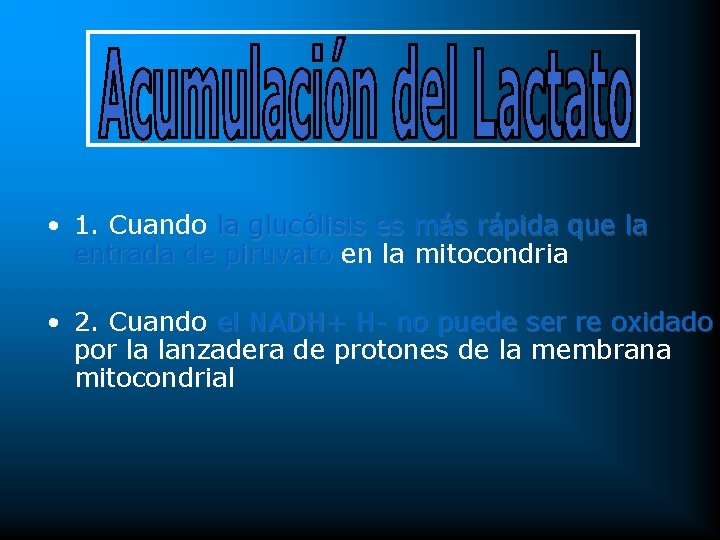  • 1. Cuando la glucólisis es más rápida que la entrada de piruvato