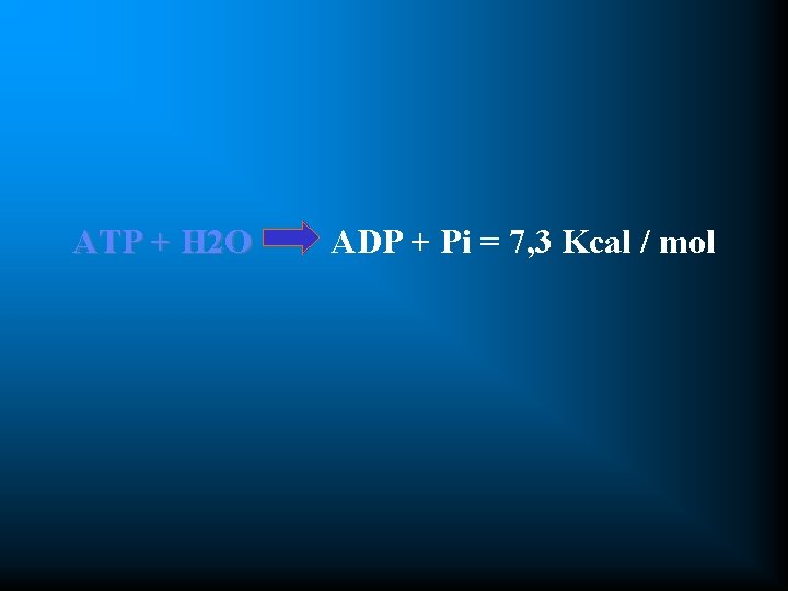 ATP + H 2 O ADP + Pi = 7, 3 Kcal / mol