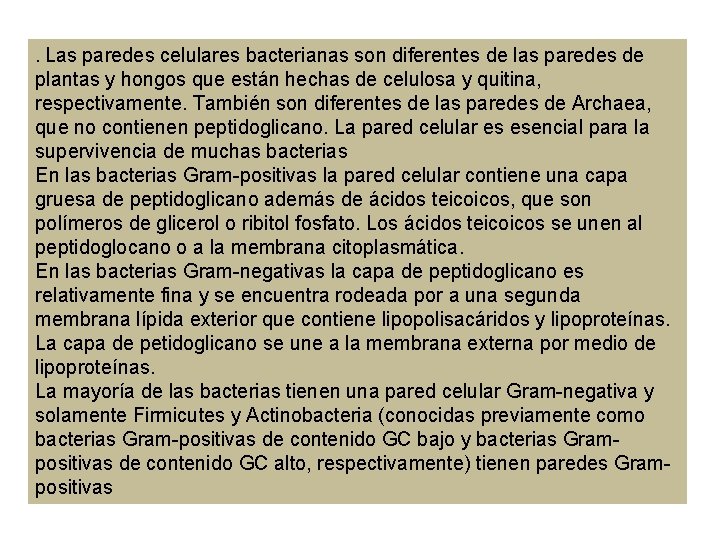 . Las paredes celulares bacterianas son diferentes de las paredes de plantas y hongos