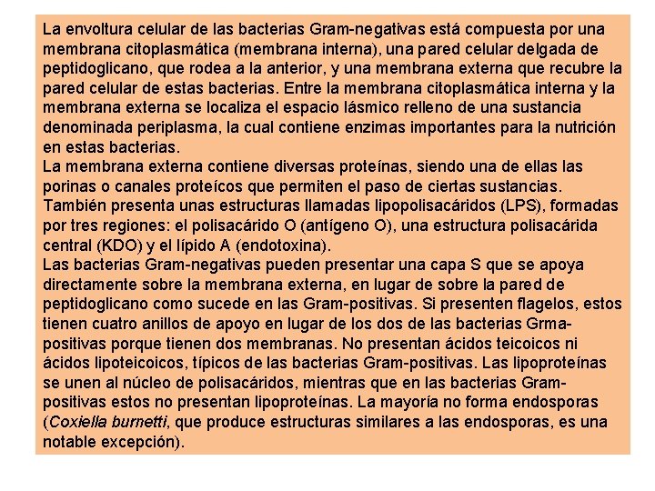 La envoltura celular de las bacterias Gram-negativas está compuesta por una membrana citoplasmática (membrana