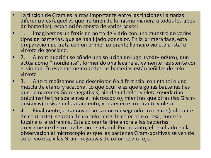  • La tinción de Gram es la más importante entre las tinciones llamadas