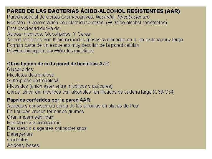 PARED DE LAS BACTERIAS ÁCIDO-ALCOHOL RESISTENTES (AAR) Pared especial de ciertas Gram-positivas: Nocardia, Mycobacterium