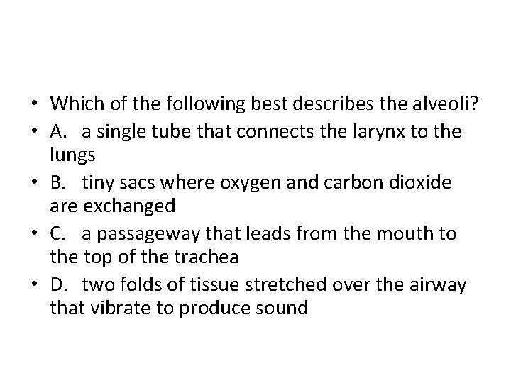  • Which of the following best describes the alveoli? • A. a single