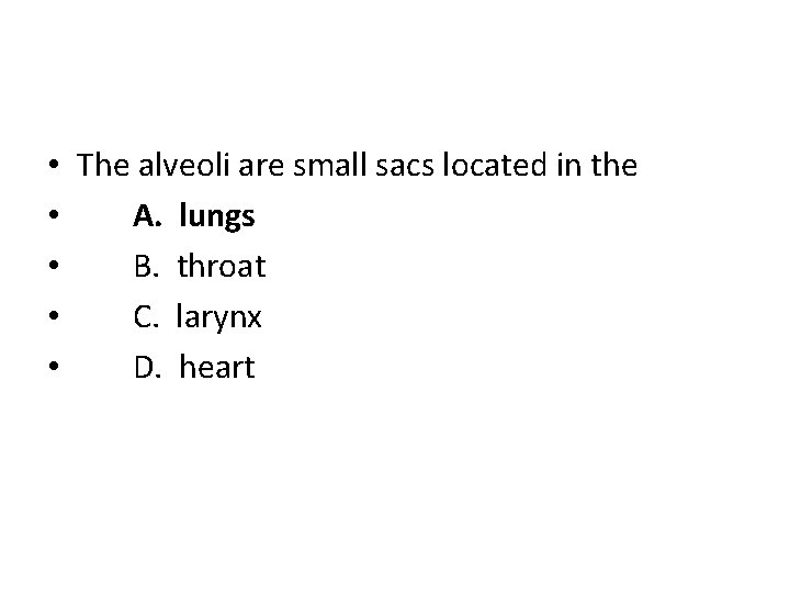  • The alveoli are small sacs located in the • A. lungs •