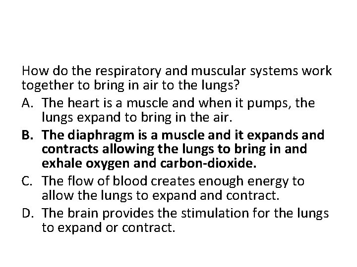 How do the respiratory and muscular systems work together to bring in air to