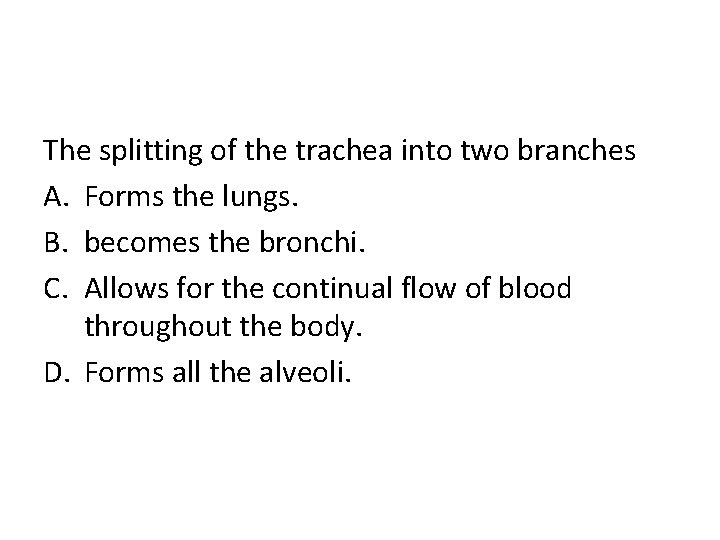 The splitting of the trachea into two branches A. Forms the lungs. B. becomes