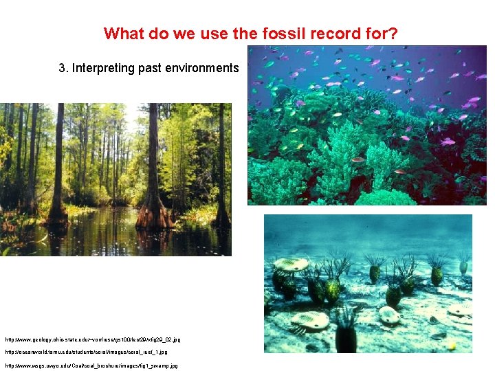 What do we use the fossil record for? 3. Interpreting past environments http: //www.