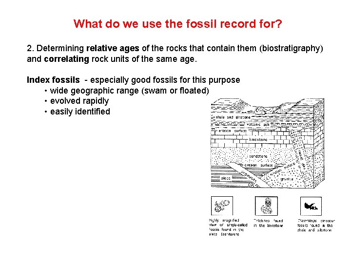 What do we use the fossil record for? 2. Determining relative ages of the