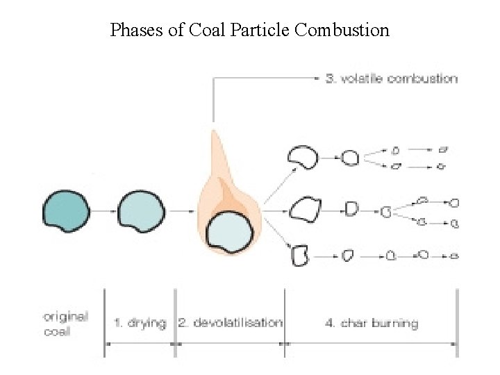 Phases of Coal Particle Combustion 