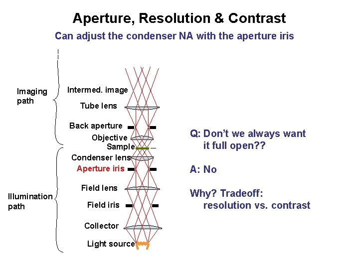 Aperture, Resolution & Contrast Can adjust the condenser NA with the aperture iris Imaging Aperture, Resolution & Contrast Can adjust the condenser NA with the aperture iris Imaging