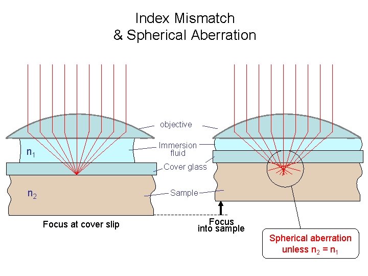 Index Mismatch & Spherical Aberration objective Immersion fluid n 1 Cover glass n 2 Index Mismatch & Spherical Aberration objective Immersion fluid n 1 Cover glass n 2