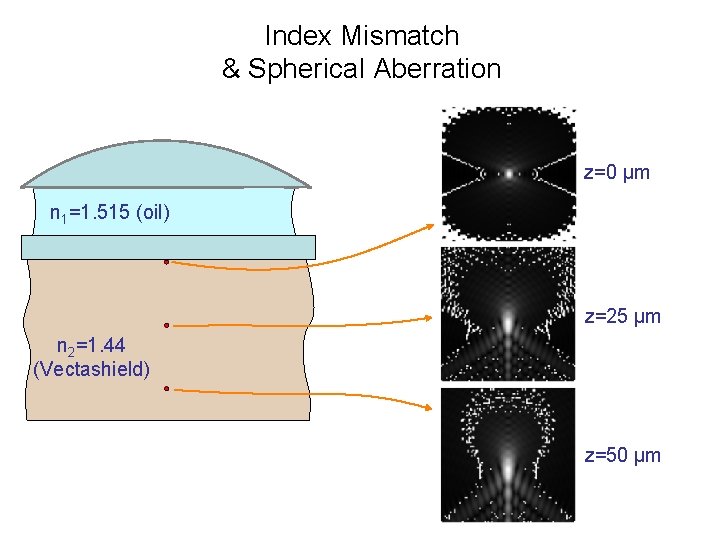 Index Mismatch & Spherical Aberration z=0 µm n 1=1. 515 (oil) z=25 µm n Index Mismatch & Spherical Aberration z=0 µm n 1=1. 515 (oil) z=25 µm n