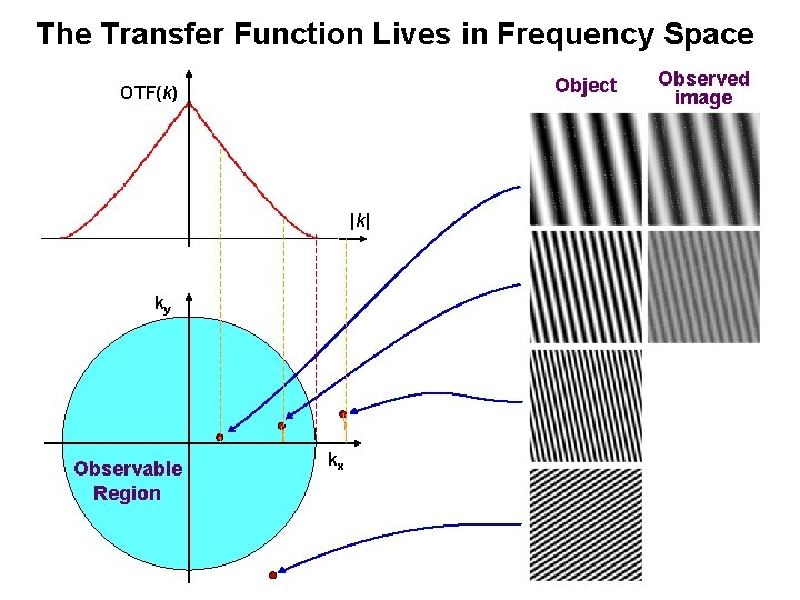 The Transfer Function Lives in Frequency Space Object OTF(k) |k| ky Observable Region kx The Transfer Function Lives in Frequency Space Object OTF(k) |k| ky Observable Region kx
