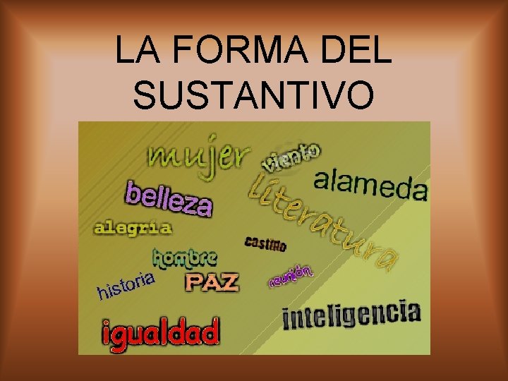 LA FORMA DEL SUSTANTIVO 