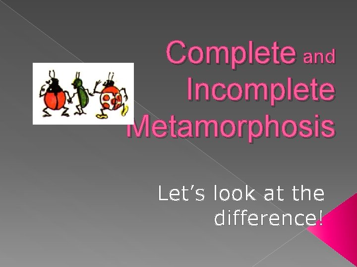 Complete and Incomplete Metamorphosis Let’s look at the difference! 