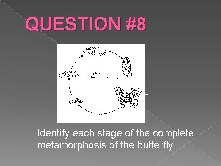 QUESTION #8 D E C F B A Identify each stage of the complete