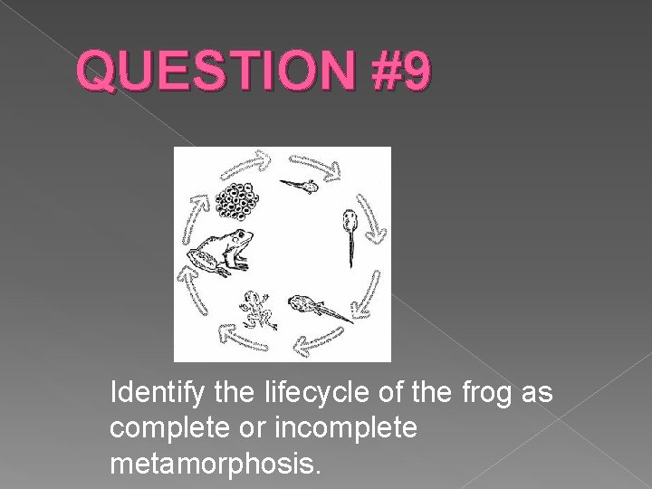 QUESTION #9 Identify the lifecycle of the frog as complete or incomplete metamorphosis. 