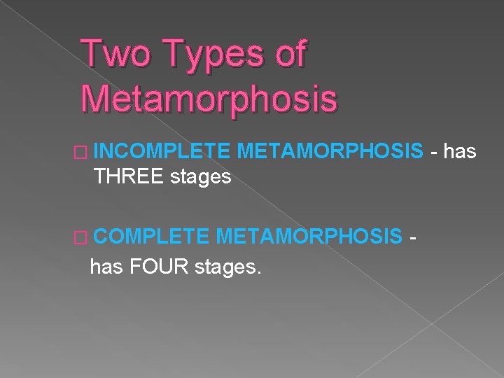 Two Types of Metamorphosis � INCOMPLETE METAMORPHOSIS - has THREE stages � COMPLETE METAMORPHOSIS