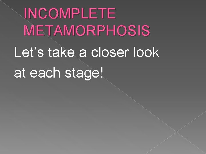 INCOMPLETE METAMORPHOSIS Let’s take a closer look at each stage! 