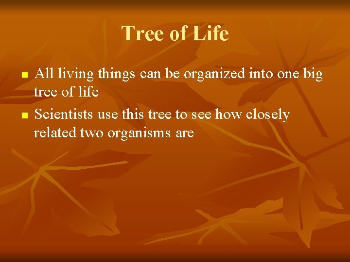 Tree of Life n n All living things can be organized into one big