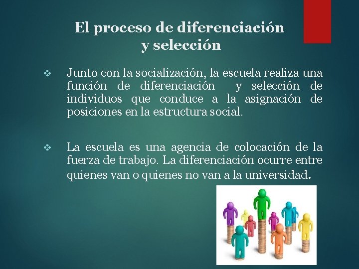 El proceso de diferenciación y selección v Junto con la socialización, la escuela realiza