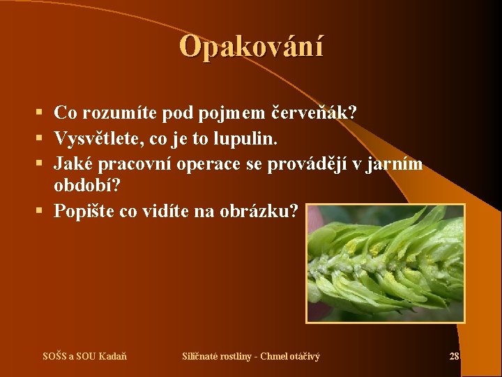 Opakování § Co rozumíte pod pojmem červeňák? § Vysvětlete, co je to lupulin. §