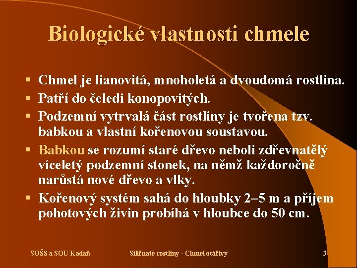 Biologické vlastnosti chmele § Chmel je lianovitá, mnoholetá a dvoudomá rostlina. § Patří do
