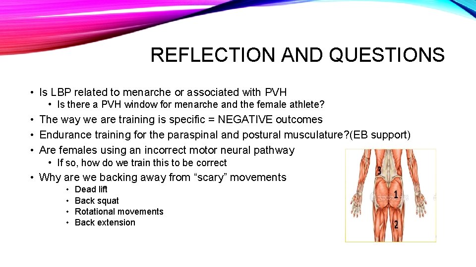 REFLECTION AND QUESTIONS • Is LBP related to menarche or associated with PVH •
