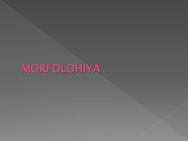 MORFOLOHIYA 