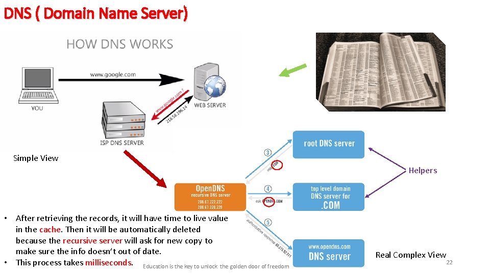 DNS ( Domain Name Server) Simple View Helpers • After retrieving the records, it DNS ( Domain Name Server) Simple View Helpers • After retrieving the records, it