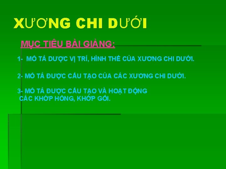 XƯƠNG CHI DƯỚI MỤC TIÊU BÀI GIẢNG: 1 - MÔ TẢ DƯỢC VỊ TRÍ,